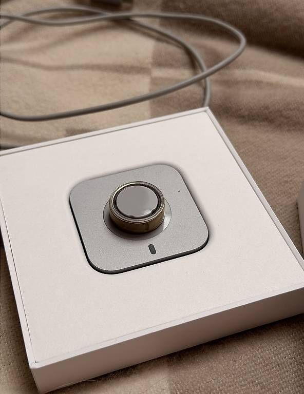Ringe: Oura Ring mit Ladecase – Gebraucht aus Zürich von kochme 1