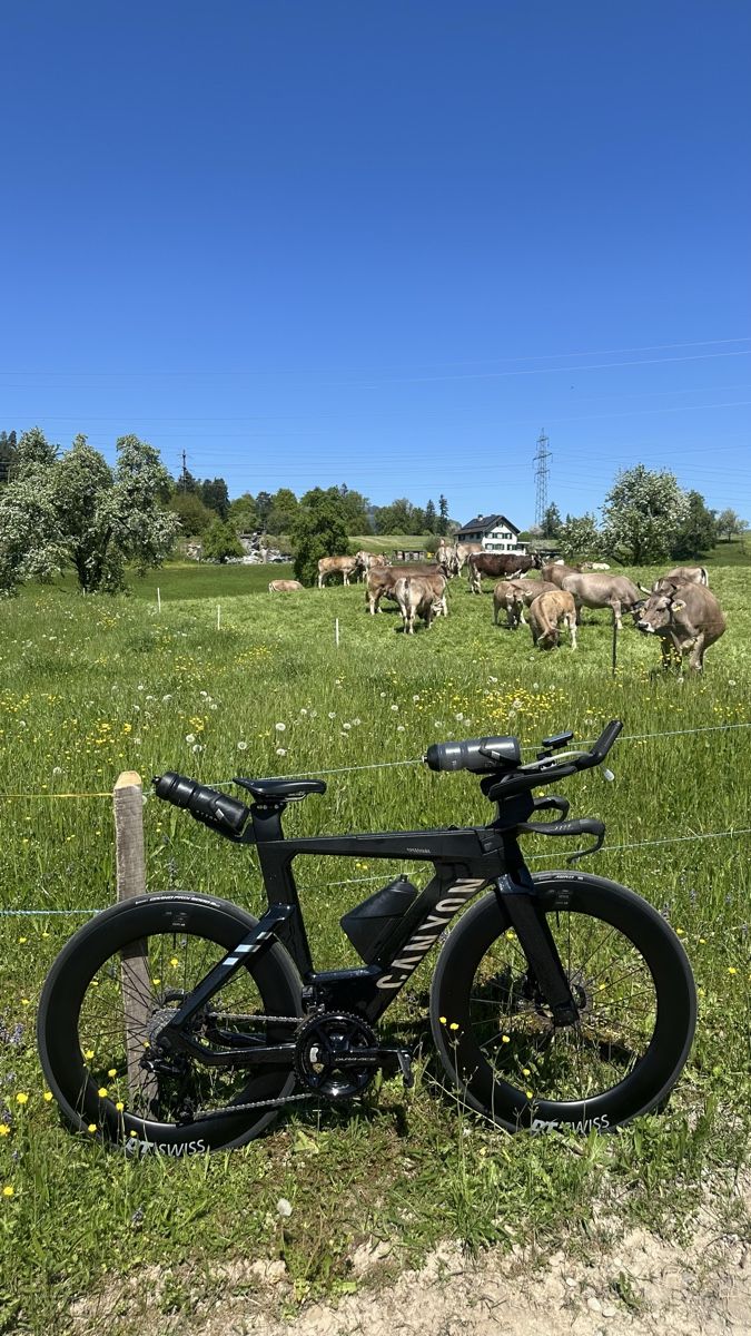 Canyon Velos: Canyon Speedmax CFR Di2 2025 - Size S – Gebraucht aus Zürich von lui_z6xx 6
