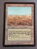 Scrubland // Doppelland // Dual Land // BETA // Magic