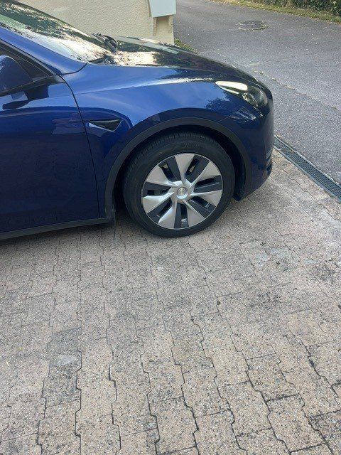 Autos: TESLA MODELE Y – Gebraucht aus Genève von del_bb8q 1
