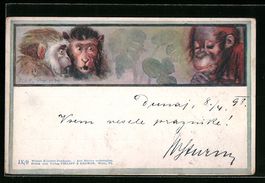 Philipp + Kramer Nr. IX /9: Drei Affen m