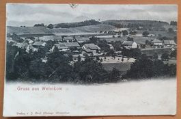 Gruss aus Welsikon 1900