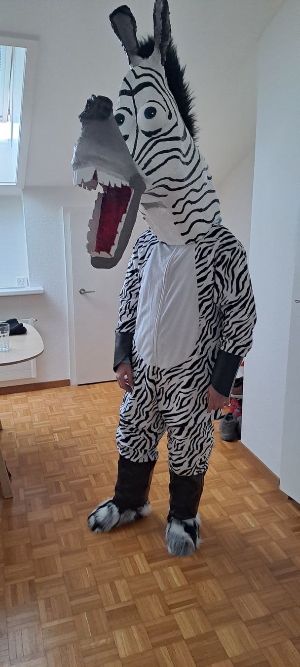 Costumi: Marty Madagascar  Fasnachtskostüm – Usato da Gerlafingen venduto da Remo96