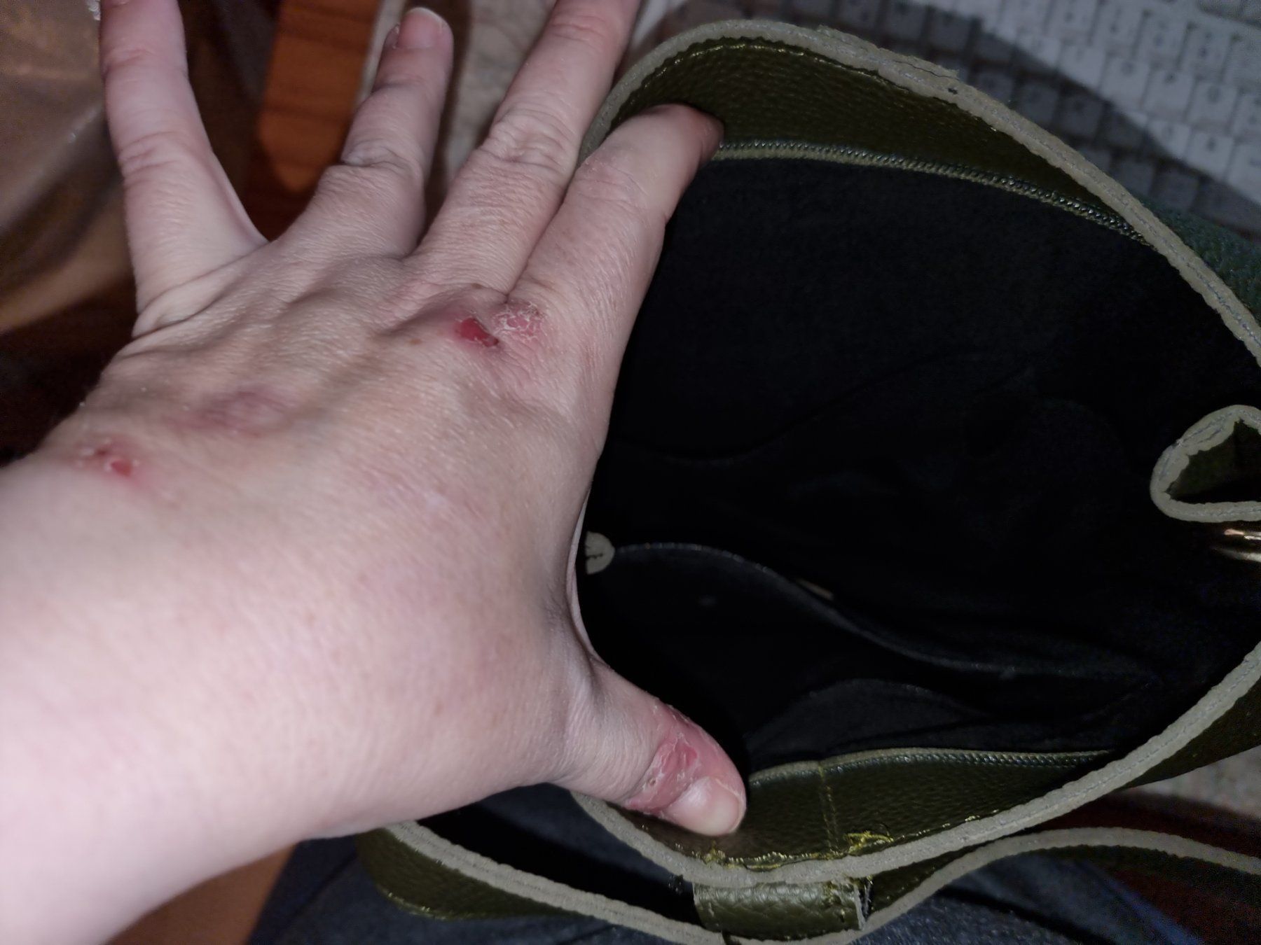 Borse da donna: Donna Tasche Oliv – Usato da Au SG venduto da nme82 1