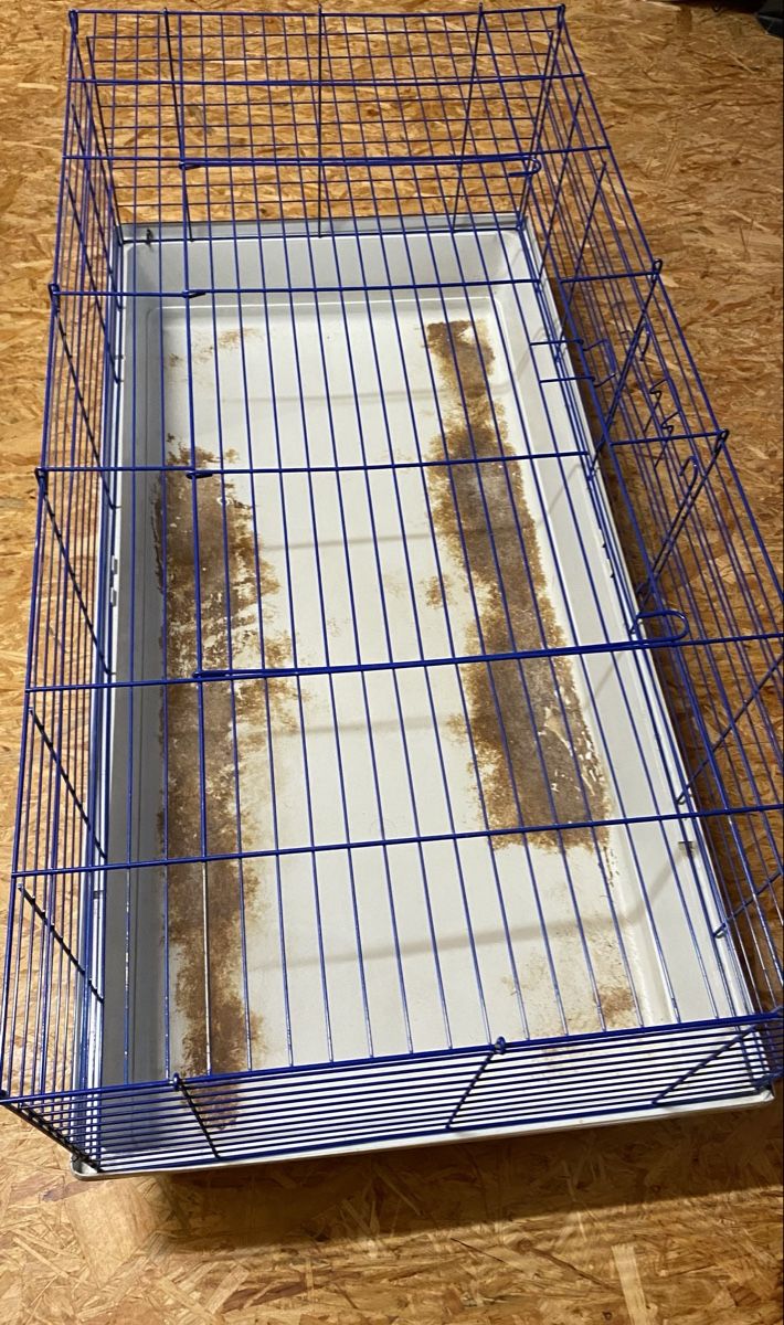 Gabbie, trasporto & Sicurezza: KLEINTIERKÄFIG GROSS – Usato da Malters venduto da Kuettel1