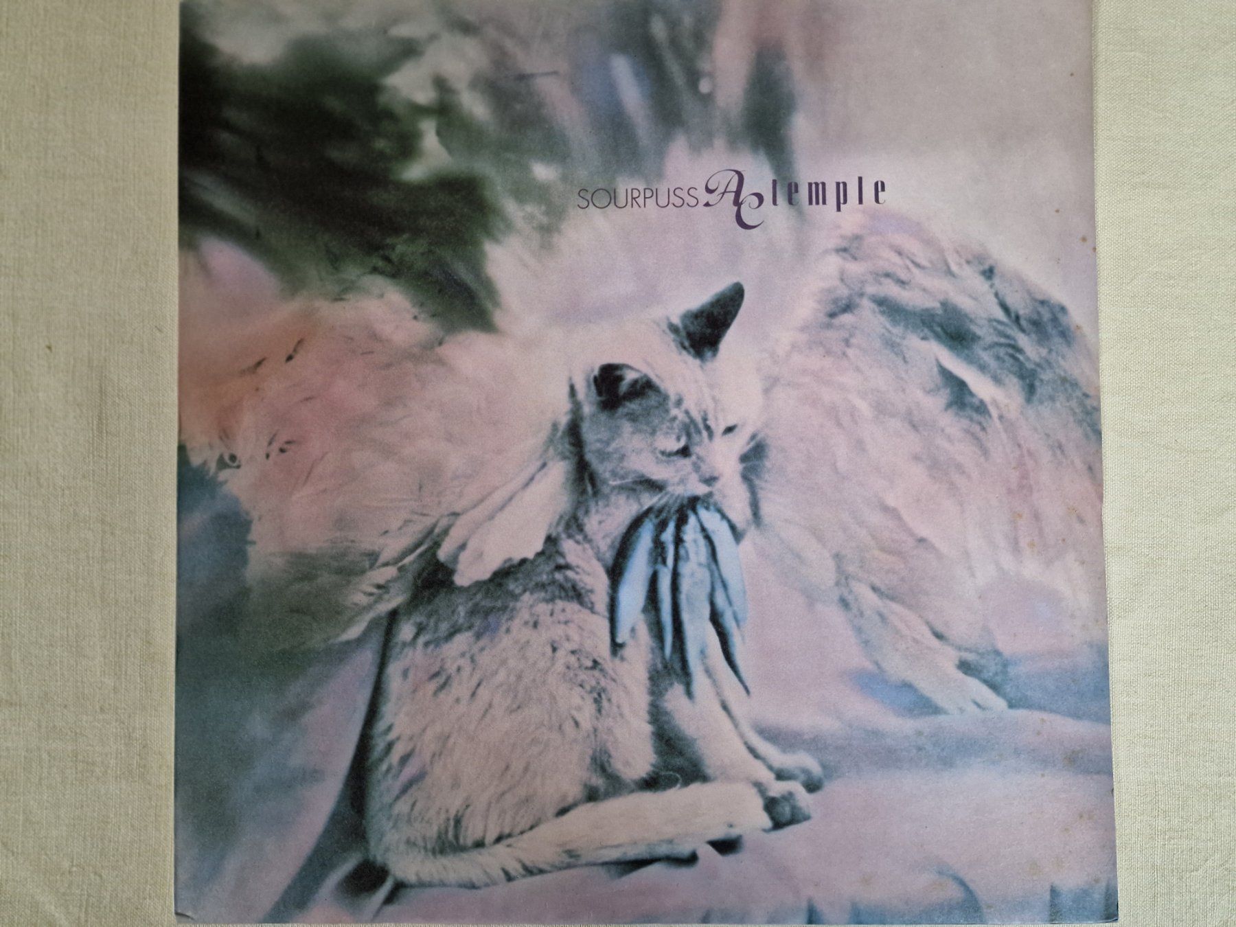 Schallplatten: A.C. Temple LP – Sourpuss – Gebraucht aus Root von atelier22