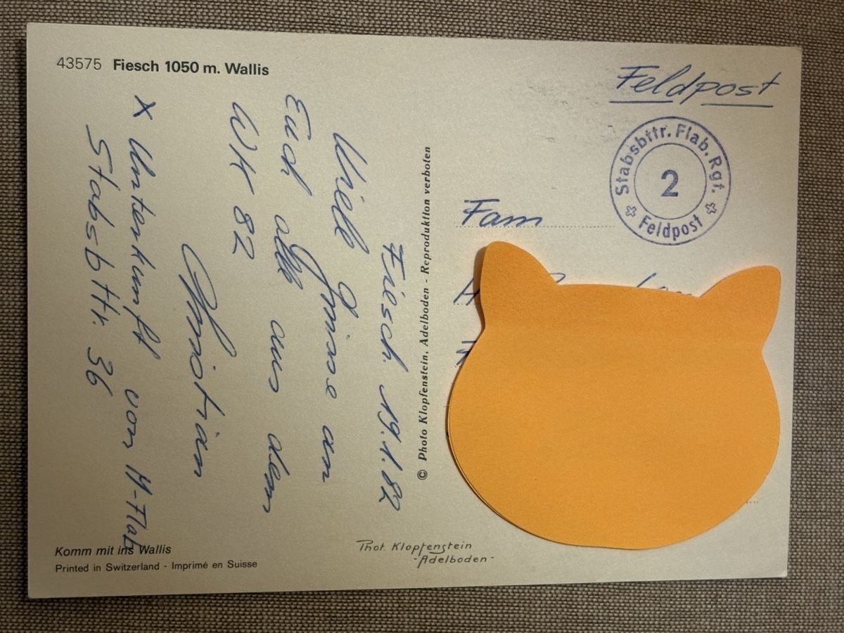Cartoline postali: AK von Fiesch – Usato da Rümlang venduto da Kartenpost1 1