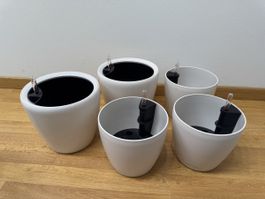🪴 5er-Set Lechuza Selbstbewässerungstöpfe (⌀ 18 / 21 cm)