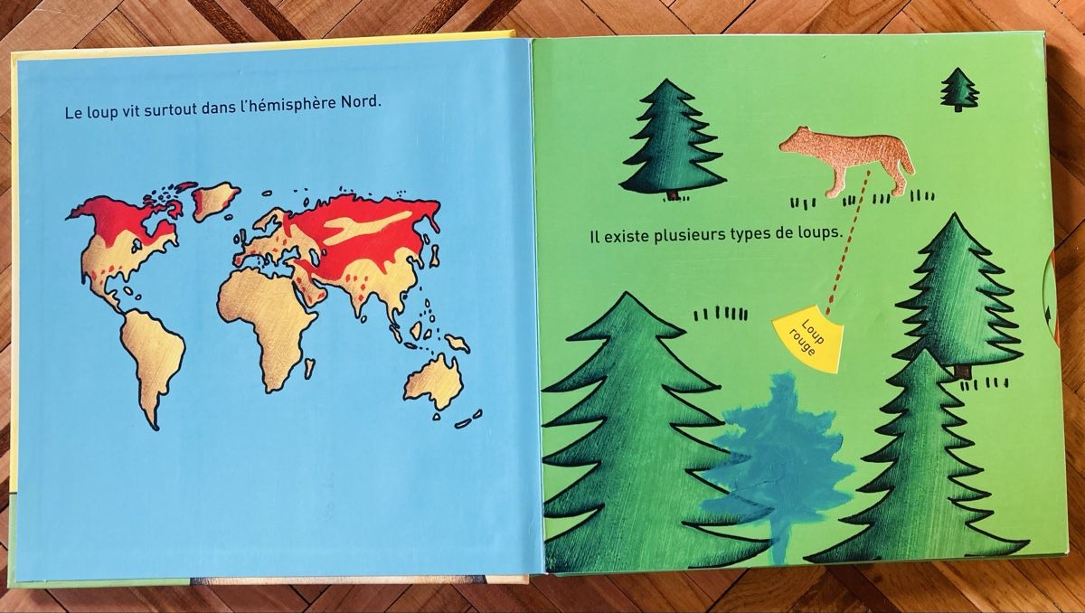 Bücher: Livre éducatif sur le loup – Neu und originalverpackt aus Ardon von hel_2sxp 4