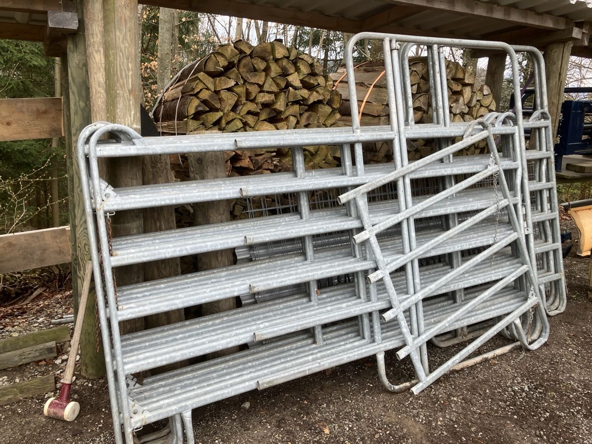 Gitter & Roste: Panels, Weidepanels, Pferdeauslauf – Gebraucht aus Dürnten von speedking01 4