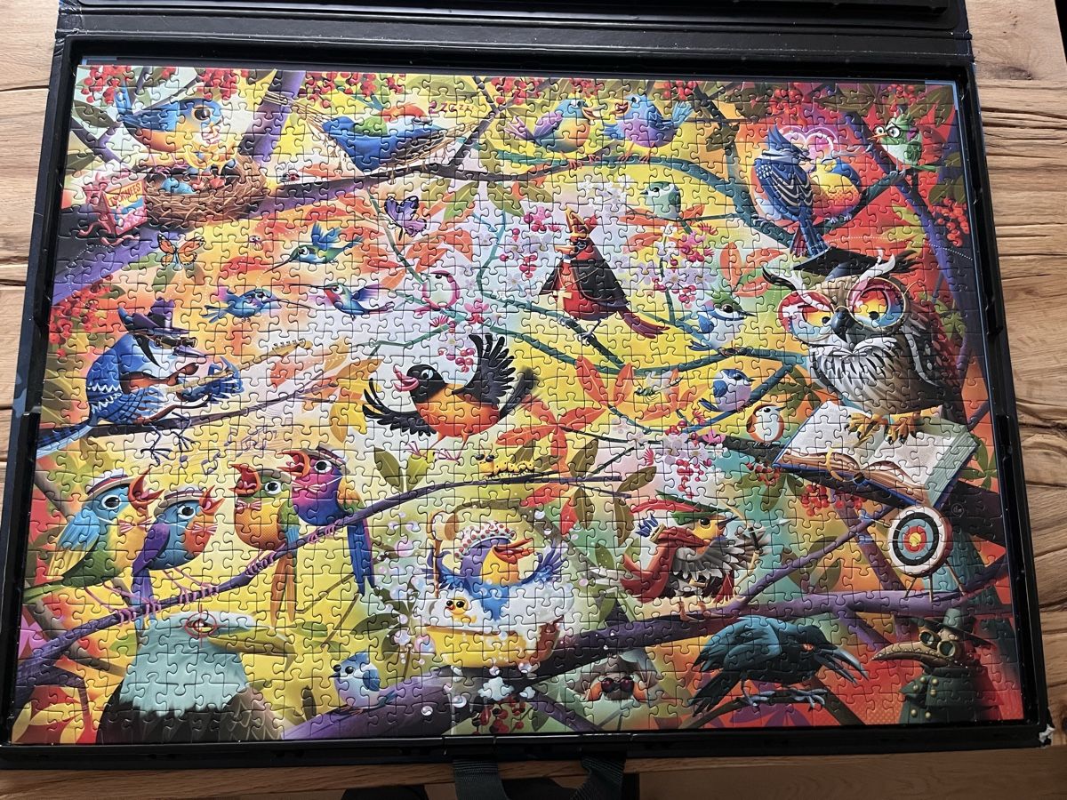 Ravensburger Puzzle: 1000er Puzzle - Dean Macadam – Usato da Buttikon SZ venduto da nene2017 1