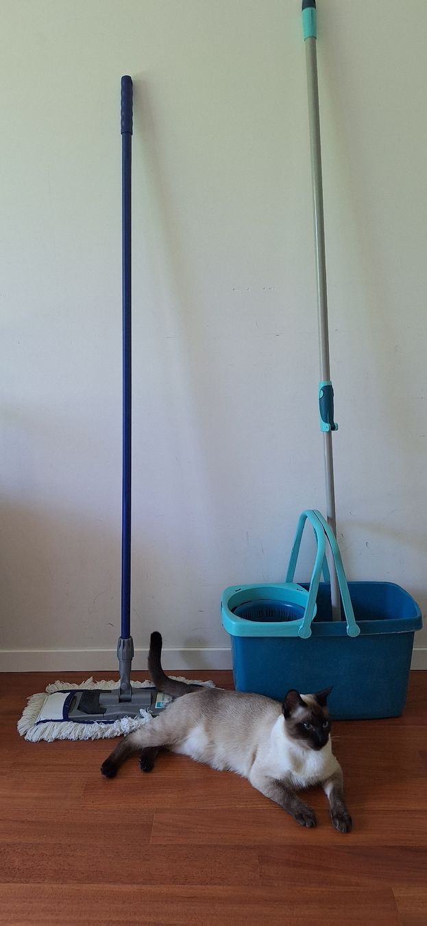 Altro in Apparecchi per la pulizia: Microfiber Floor Mop + Vileda with Extendable Handle  – Usato da Zürich venduto da ema_zb95