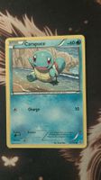 Carapuce Tempête Plasma 2013 Français Near Mint