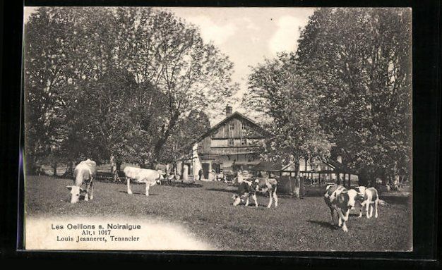 Cartoline postali: AK Noiraigue, Les Oeillons – Usato da Berlin venduto da bartko-reher