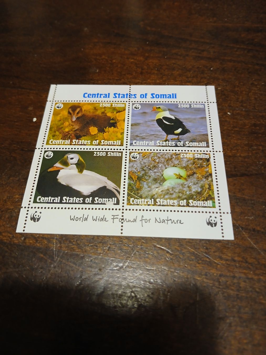 130 Autocollants Meeple Pour Carcassonne - Accessoire De Jeu Neuf