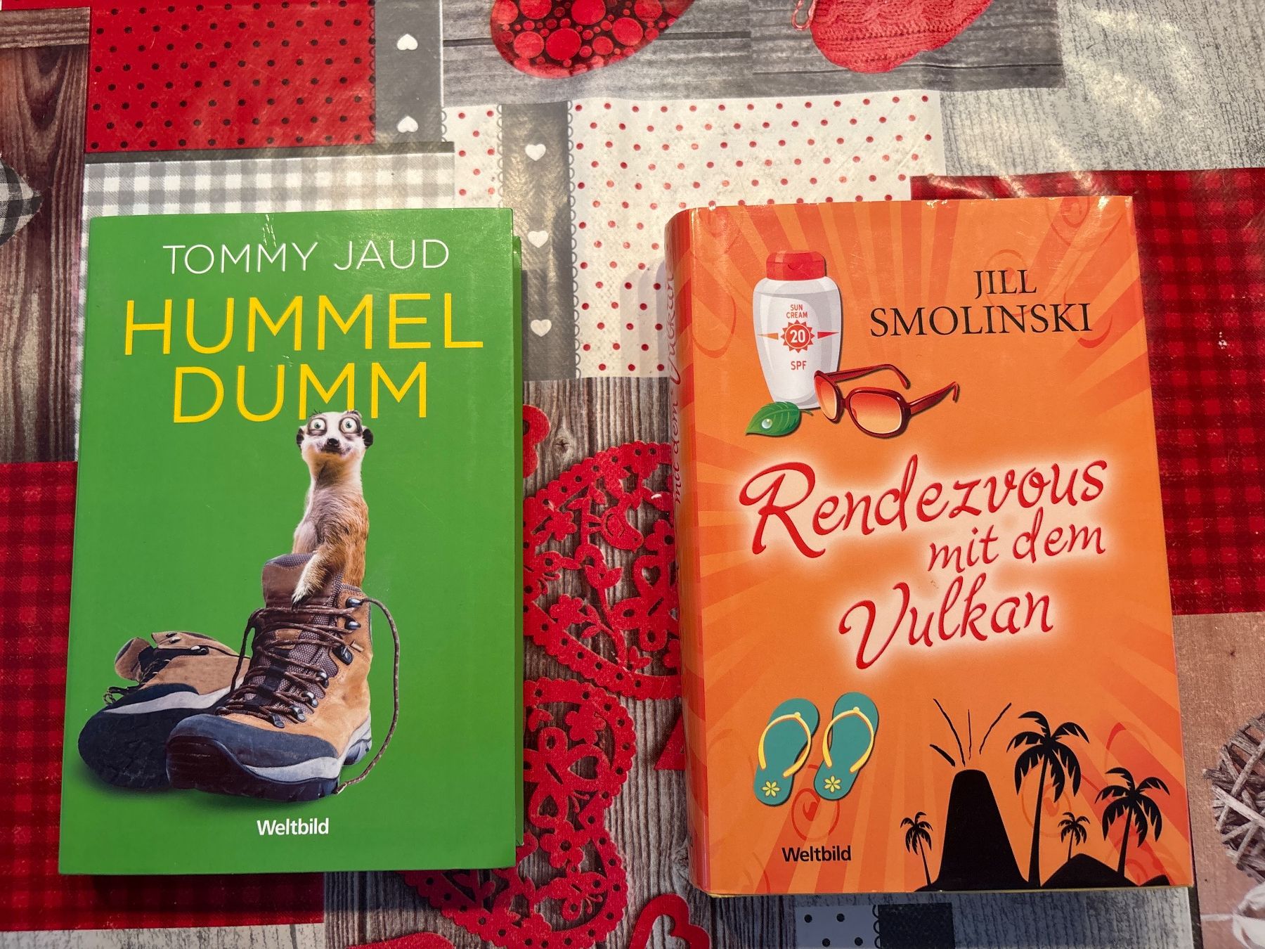 Livres: Hummeldumm, Rendezvous mit dem Vulkan Weltbild Verlag – D'occasion à Glis par mic_2ht8