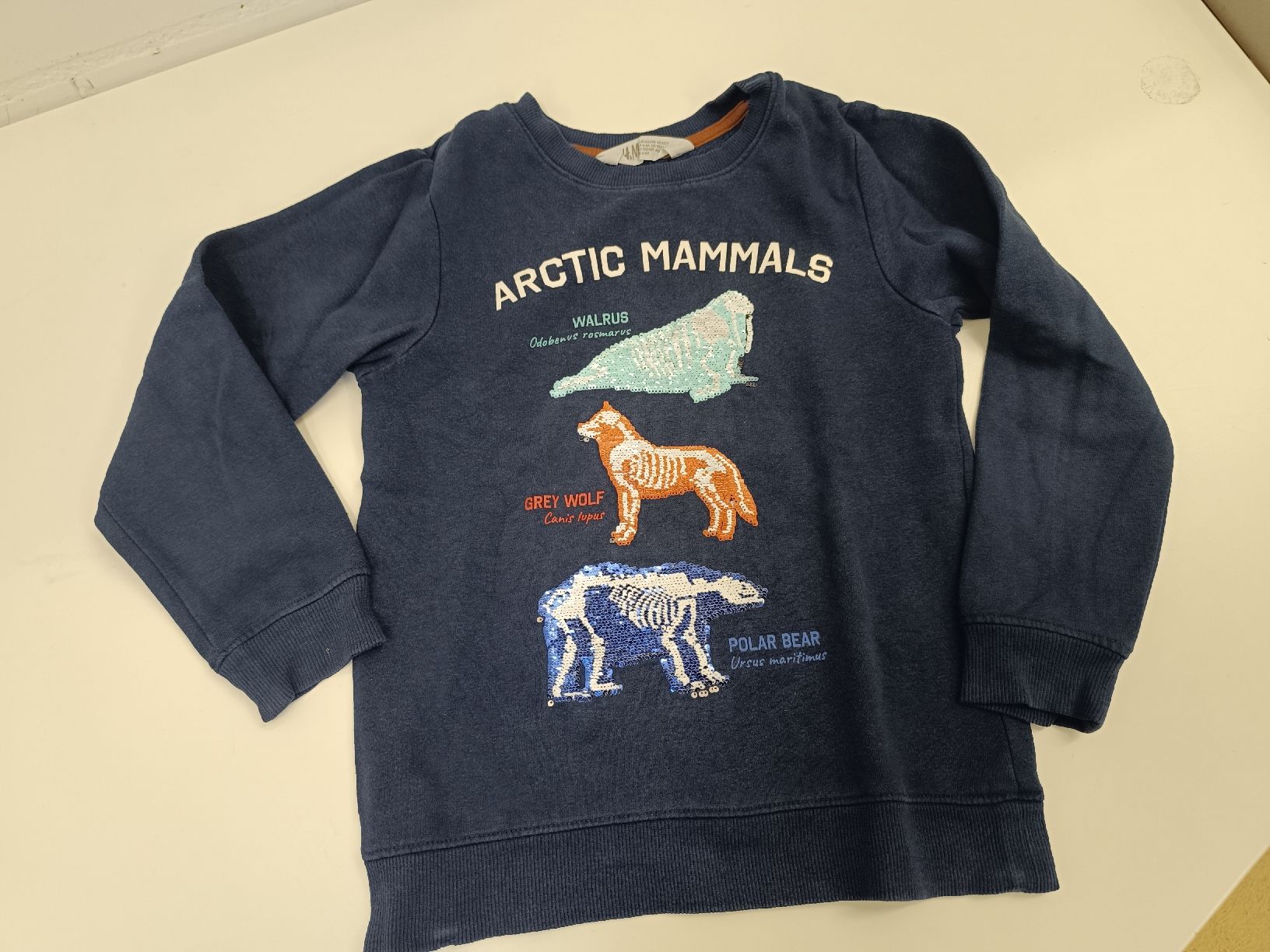 H&M Pullover & Sweatshirts: Pullover mit Wendepaillettebn Gr. 122/128 – Gebraucht aus Ehrendingen von Cheronimo2 1