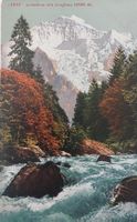 LÜTSCHINE    mit  Jungfrau