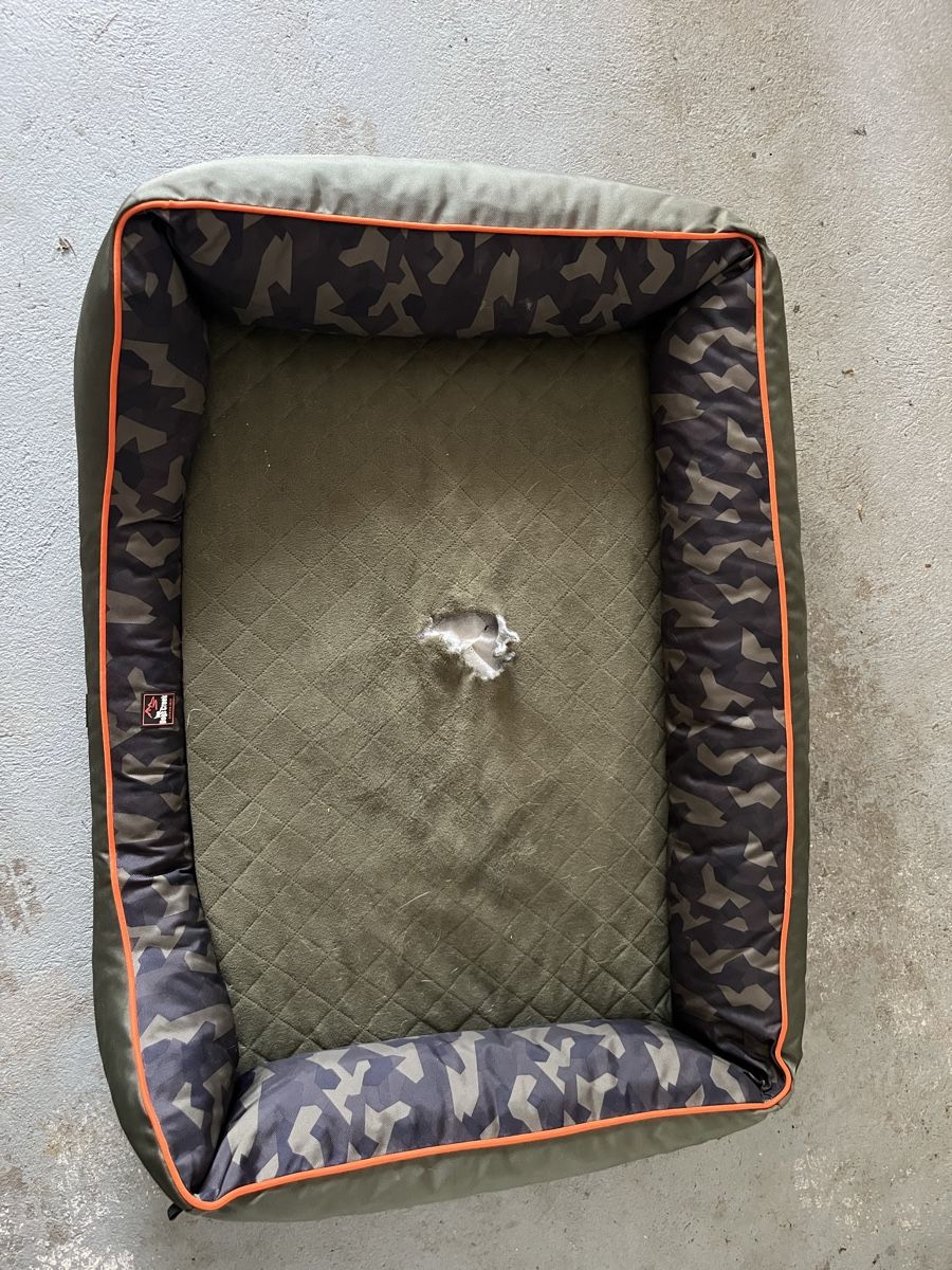 Cucce & Letti: Hundebett von Dogs Creek – Usato da Winterthur venduto da tina1980 2
