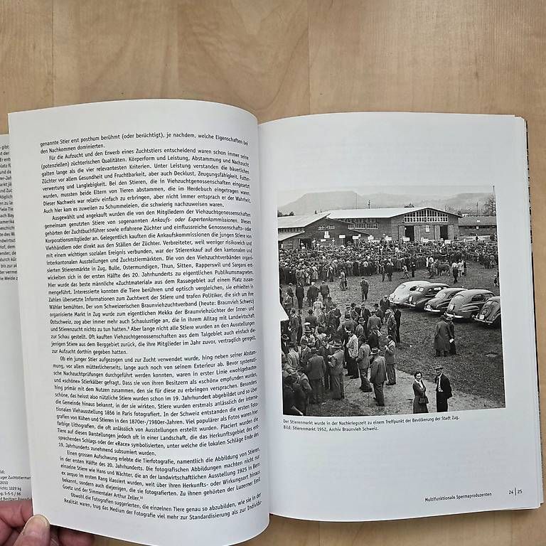 Libri: MUNI - Der Zuger Stierenmarkt – Nuovo (secondo la descrizione) da Zug venduto da Sunshine_113 2