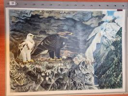 Schulwandbild Adler: Majestätische Vögel der Alpen!