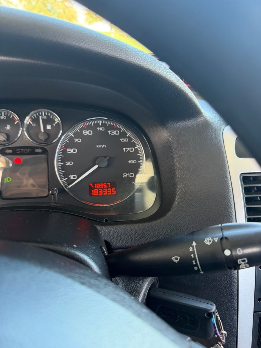 Peugeot Automobili: PEUGEOT 307 2. 0I – Usato da Flawil venduto da 1up_5bzg 3