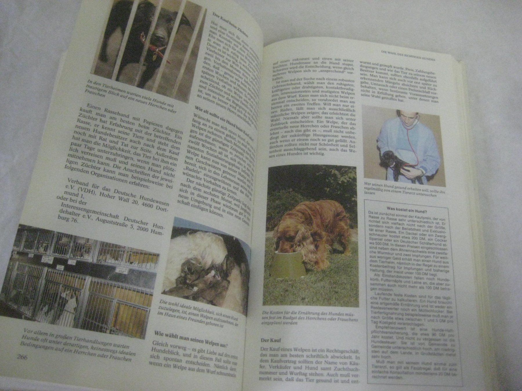 Bücher: HUNDE  BUCH – Gebraucht aus Uster von flocke1 4