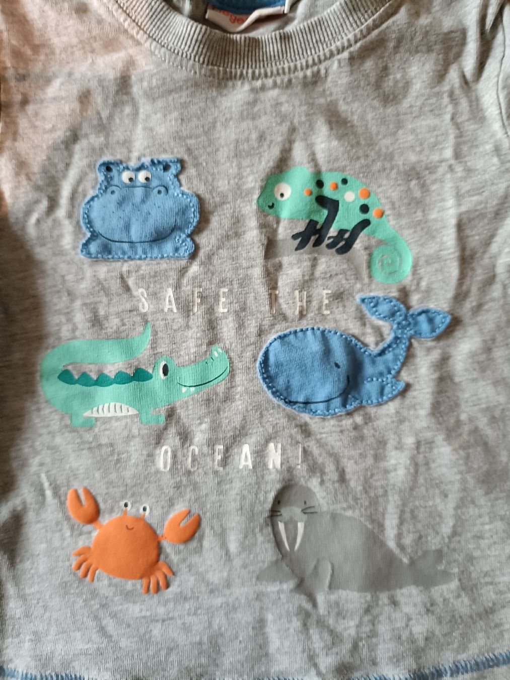 Hemden, Tops & T-Shirts: T Shirt Gr. 74 – Gebraucht aus Tenniken von Pasci1990 1
