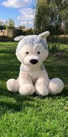 Riesen Plüsch-Husky 