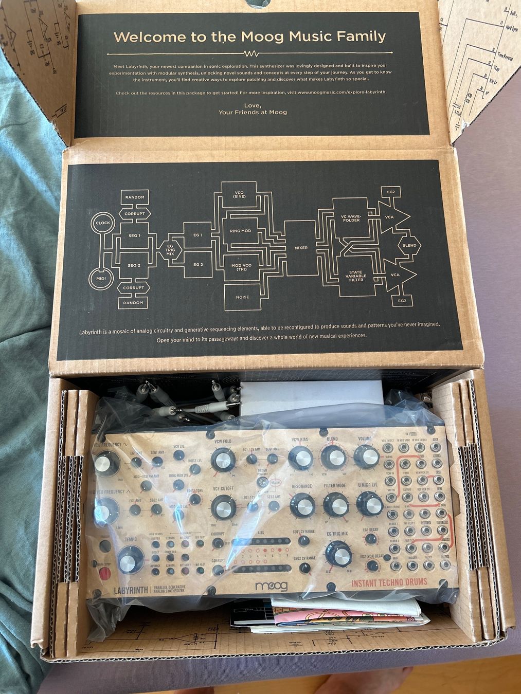 Moog Musikinstrumente: Moog dfam/labyrinth – Gebraucht aus st.gallen von closedArt 2
