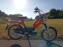 Pony GTX 2-Gang Automat