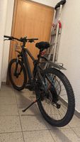 E-Bike Allegro AXM 02