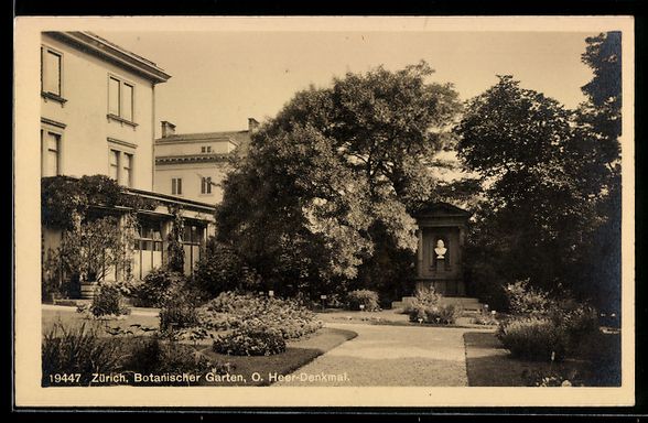 Cartoline postali: Zürich, Botanischer Garten, O. Heer-Den – Usato da Berlin venduto da bartko-reher
