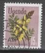 UGANDA Cassia...  gelber Strauch  (21