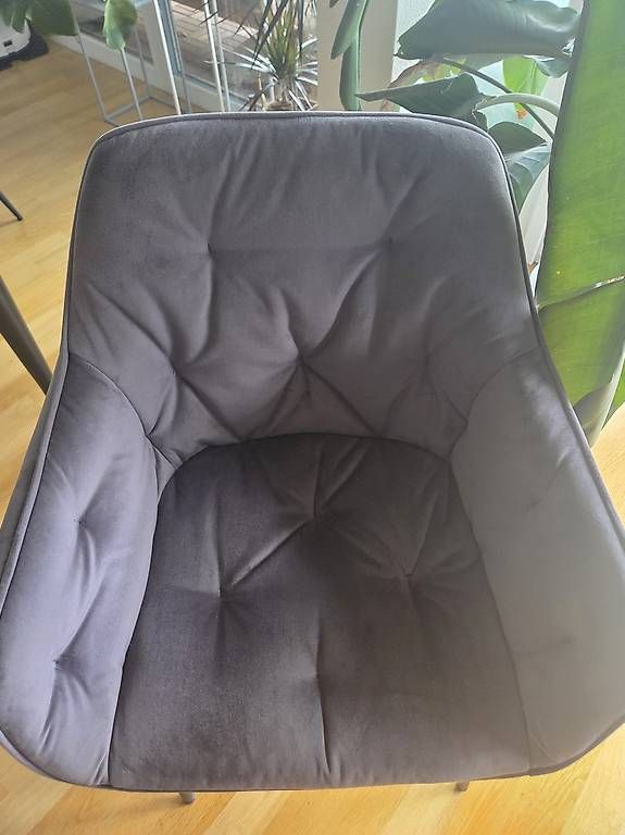 Chaises: Stühle Samt-Grau – D'occasion à Oensingen par Melosh 1