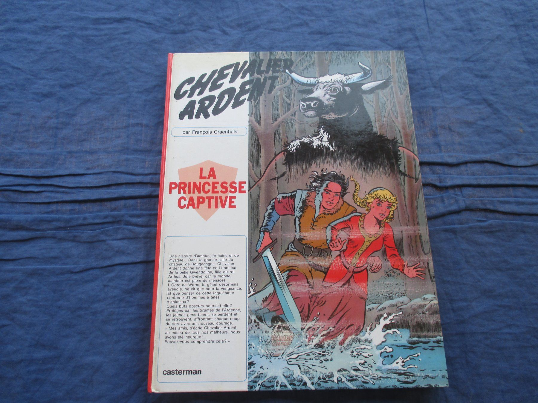 Fumetti: Chevalier Ardent : La princesse captive – Usato da Colombier NE venduto da Nevenma