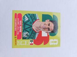 MEX 7