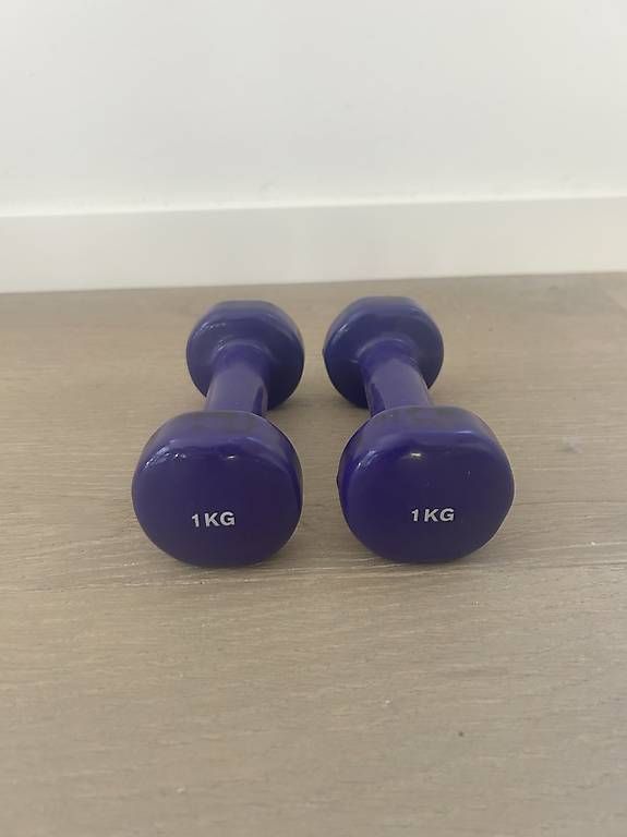 Decathlon Manubri & Pesi: 2 haltères 1kg – Usato da Pully venduto da gpo_82kp