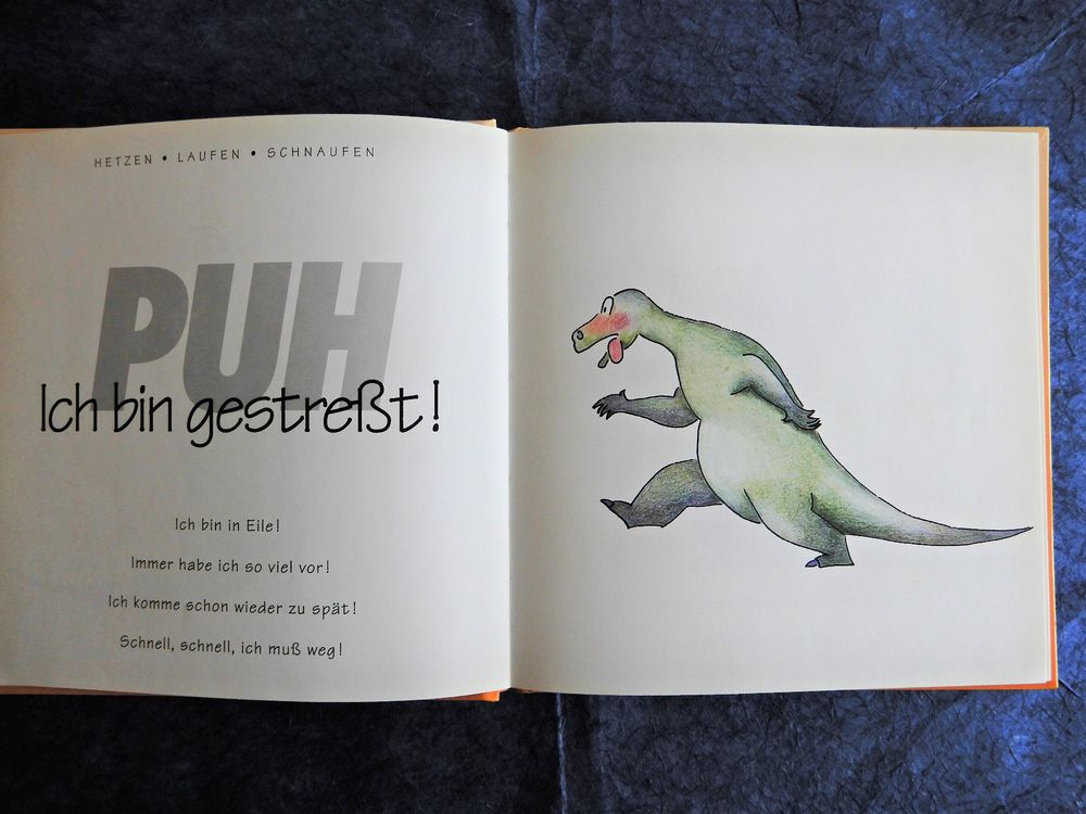 'Ein Dino zeigt Gefühle' Bilderbuch und Ratgeber Kaufen auf Ricardo