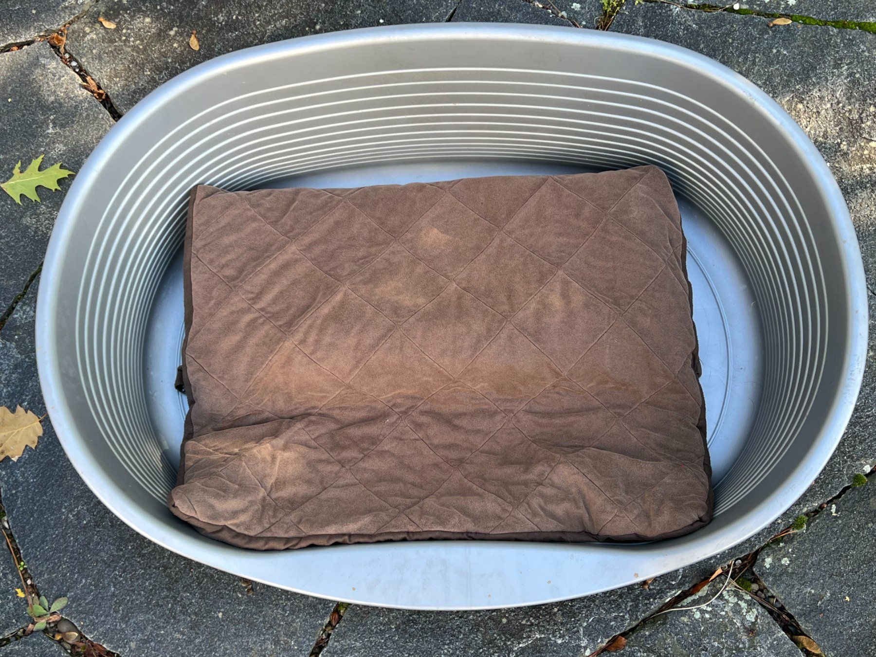 Cucce & Letti: PANIER POUR CHIEN – Usato da Epalinges venduto da ped_6n2z 1