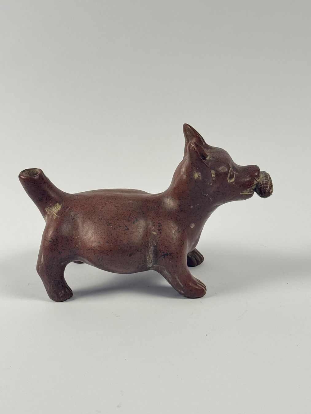 Sculture & Statue: Statuetta cane in terracotta con mais – Usato da Genève venduto da Atelier.Curio