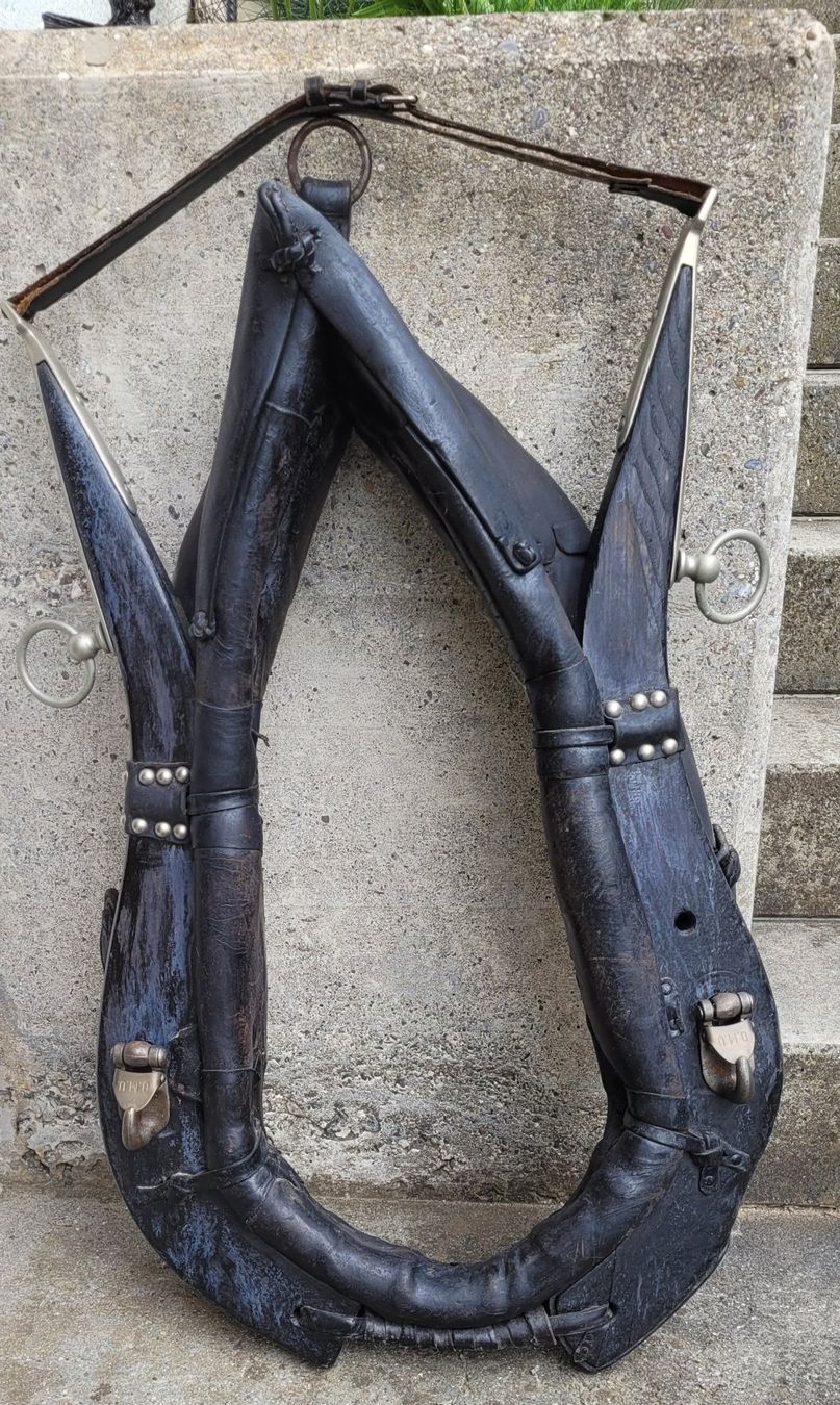 Briglie & Cavezze: Pferde-Kummet – Usato da SCHÜBELBACH venduto da CoKaHa