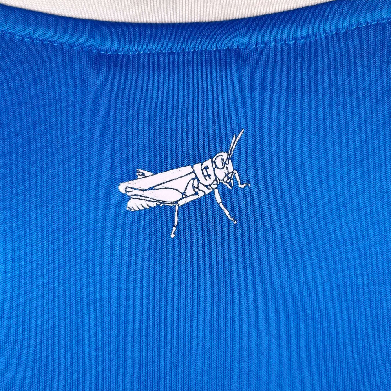 Puma Maillots de corps & Pantalons: Original 2012-13 Grasshopper Training Trikot – D'occasion à Martigny par eternalpitch 8