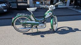PONY JUNIOR-M 502 Jubiläumsedition - Baujahr 1965 -