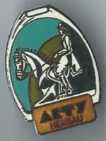 Reiterin mit Pferd, ARTI Herrliberg, Pin