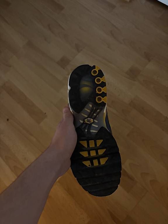 Scarpe da uomo: Nike TN Grösse 43 – Usato da Sursee venduto da cheffe05 2