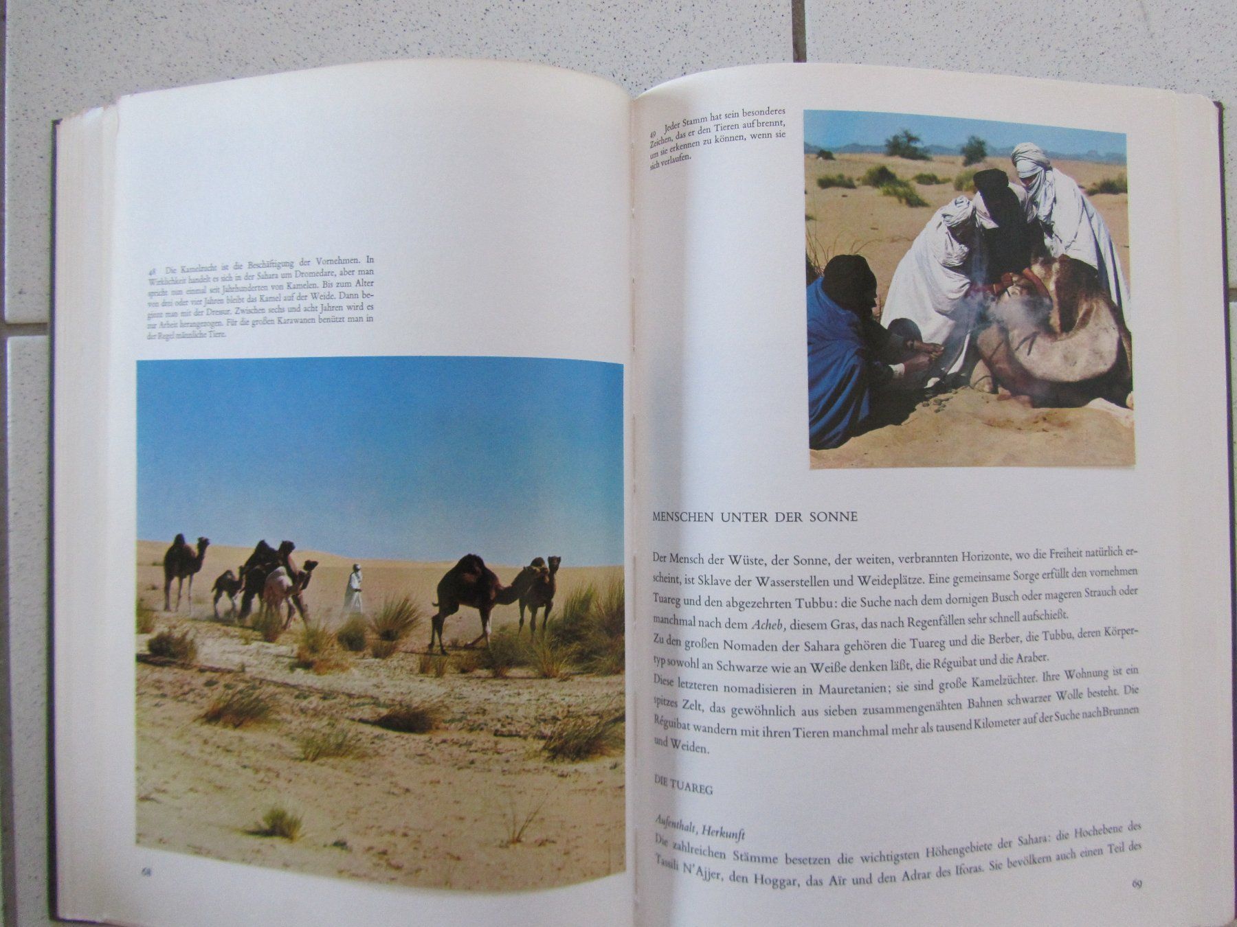 Libri: Sahara - Silva Buch von 1969 – Usato da Weiningen ZH venduto da dietsch57 8