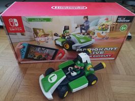 Mariokart Live Home Circuit Luigi