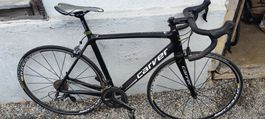 Carbon Rennvelo 54 Größe