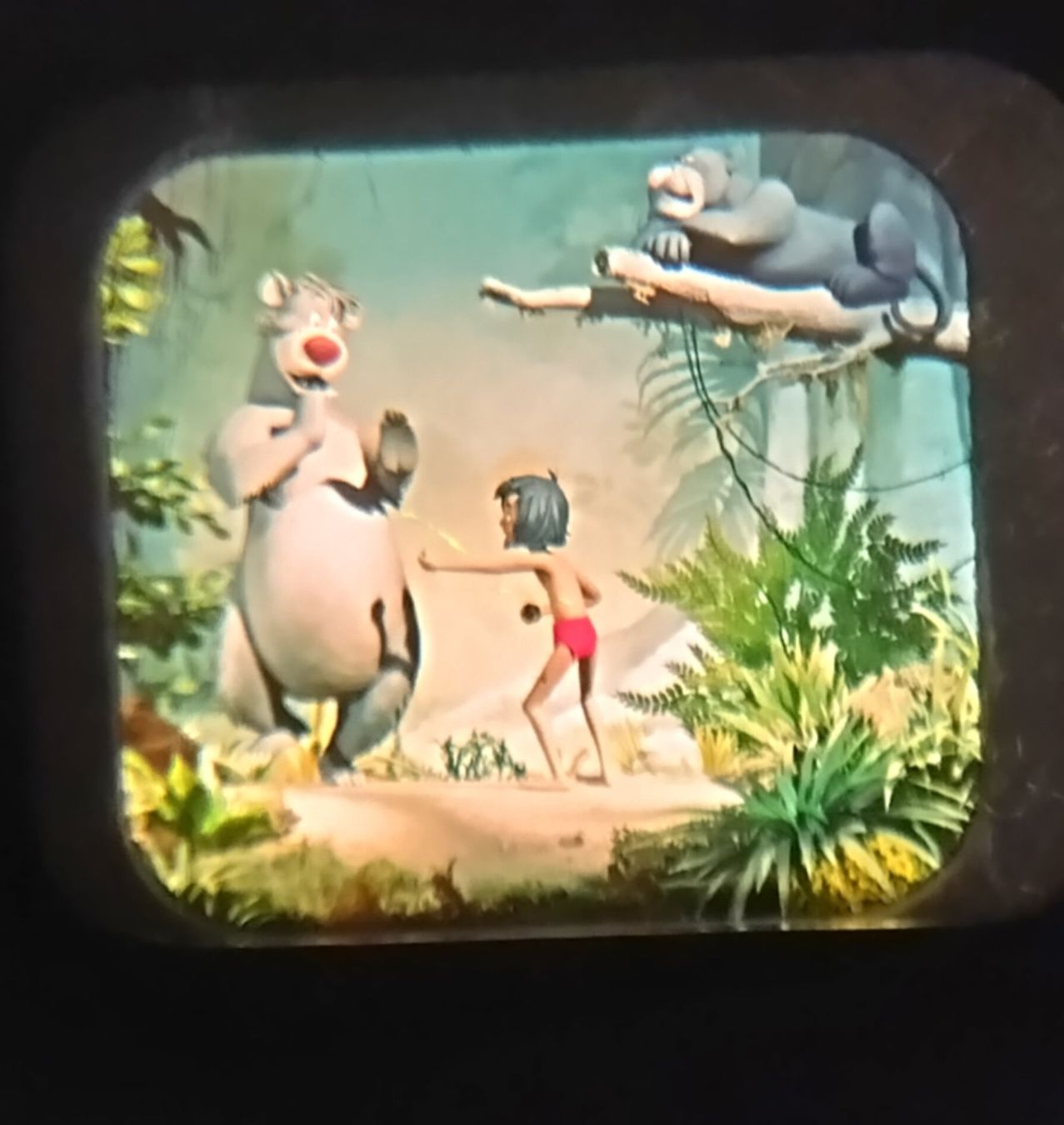 View-master Giocattoli: View-Master / 3 Bildscheiben / Jungle Book / ab Fr. 1.- – Usato da Bellach venduto da JingleJerry 3